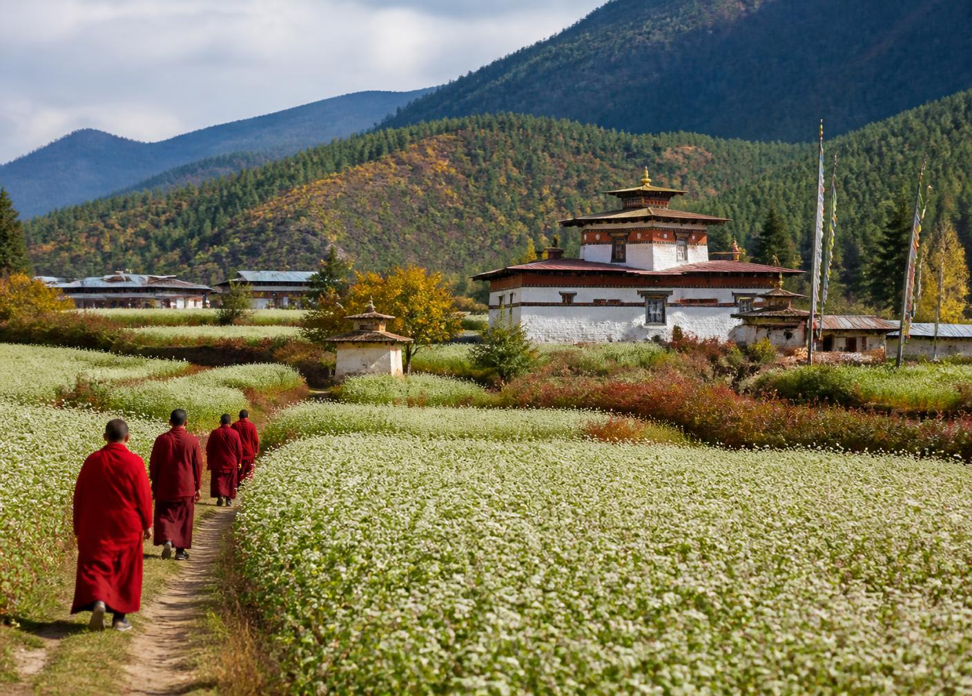 Phobjikha
